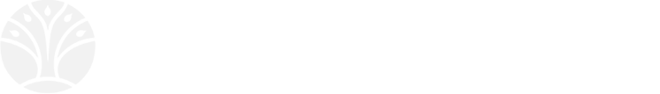 light logo